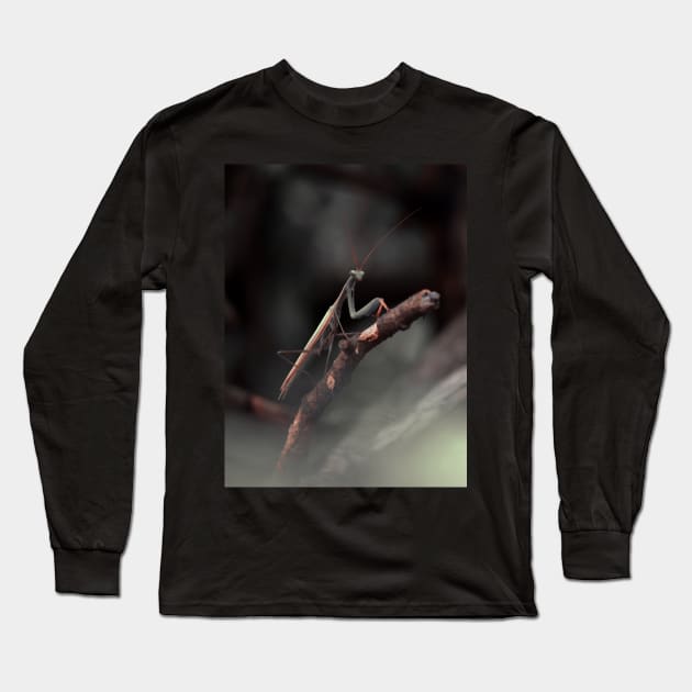 praying mantis Long Sleeve T-Shirt by bunlinked